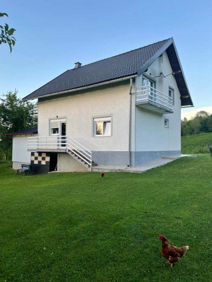 Apartman Mile - Holiday House Smoljanac Esterno foto