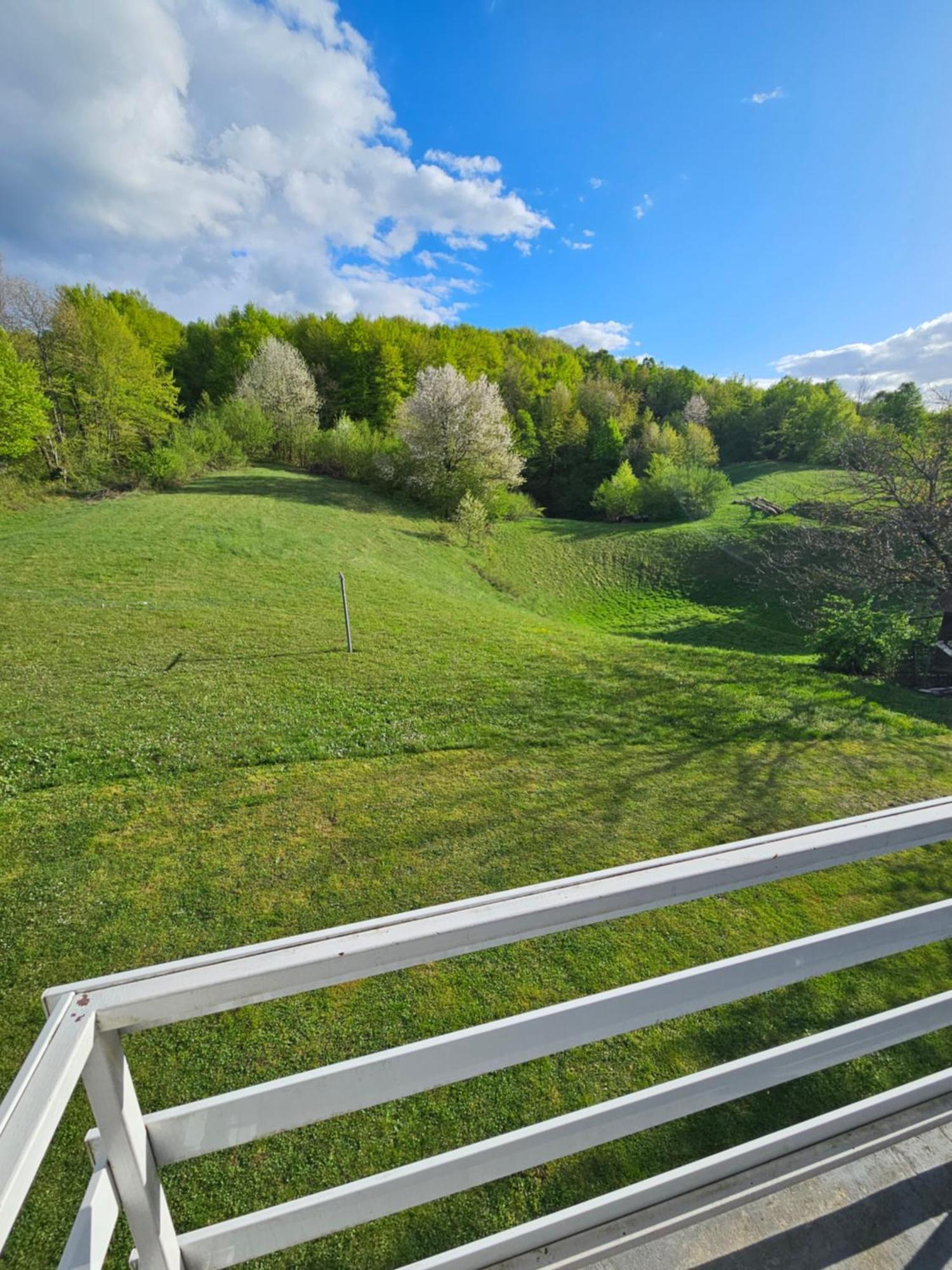 Apartman Mile - Holiday House Smoljanac Esterno foto